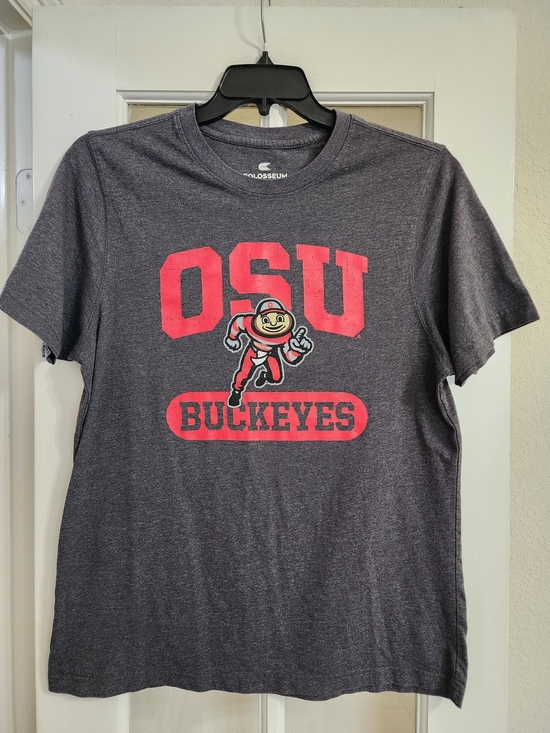 Colosseum Other - Ohio State Buckeyes OSU Colosseum Gray Graphic Tee Shirt Men’s L